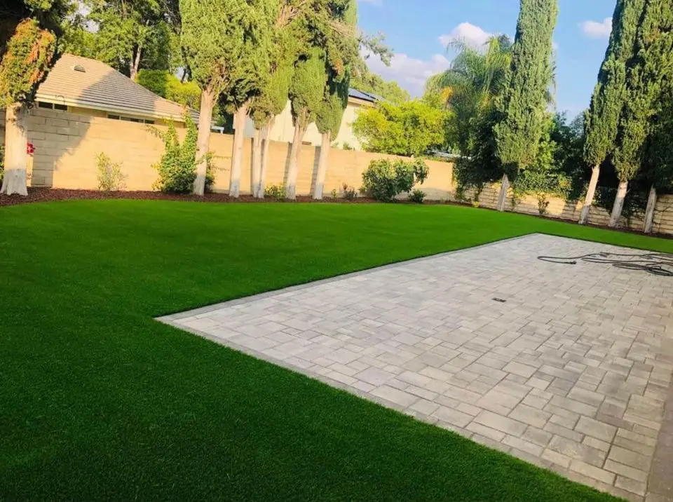 A backyard showcases a green lawn adjacent to a paved patio area, expertly crafted with precise paver installation. Trees and shrubs line the brick wall in the background, with sunlight casting shadows on the grass.